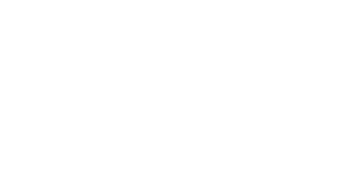 Temu